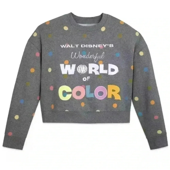 Disney 100 | 2023 Wonderful World of Color Disney Park  Crewneck Sweatshirt - Picture 1 of 6